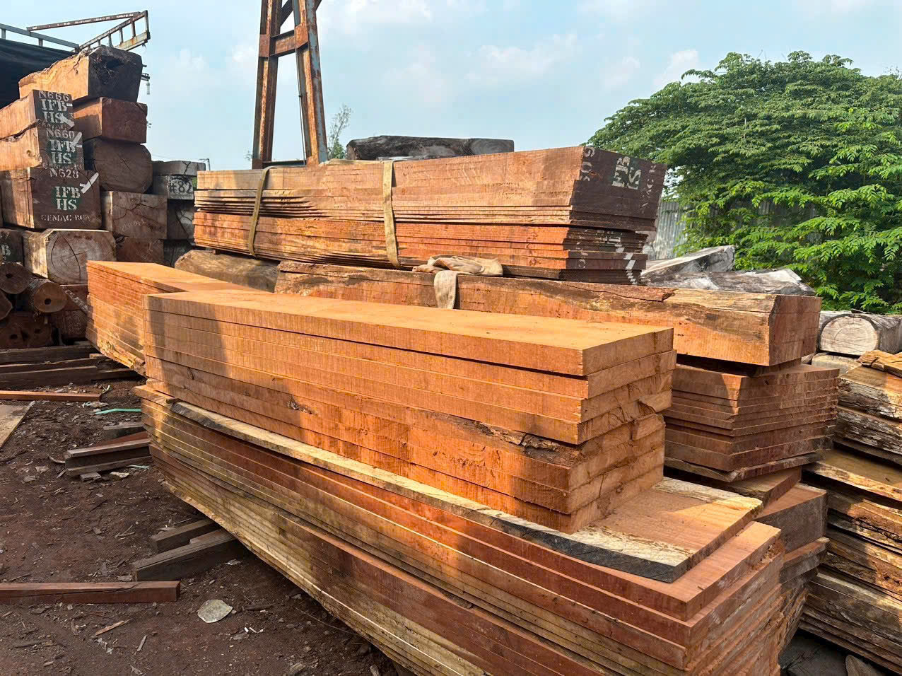 Nội thất gỗ tự nhiên