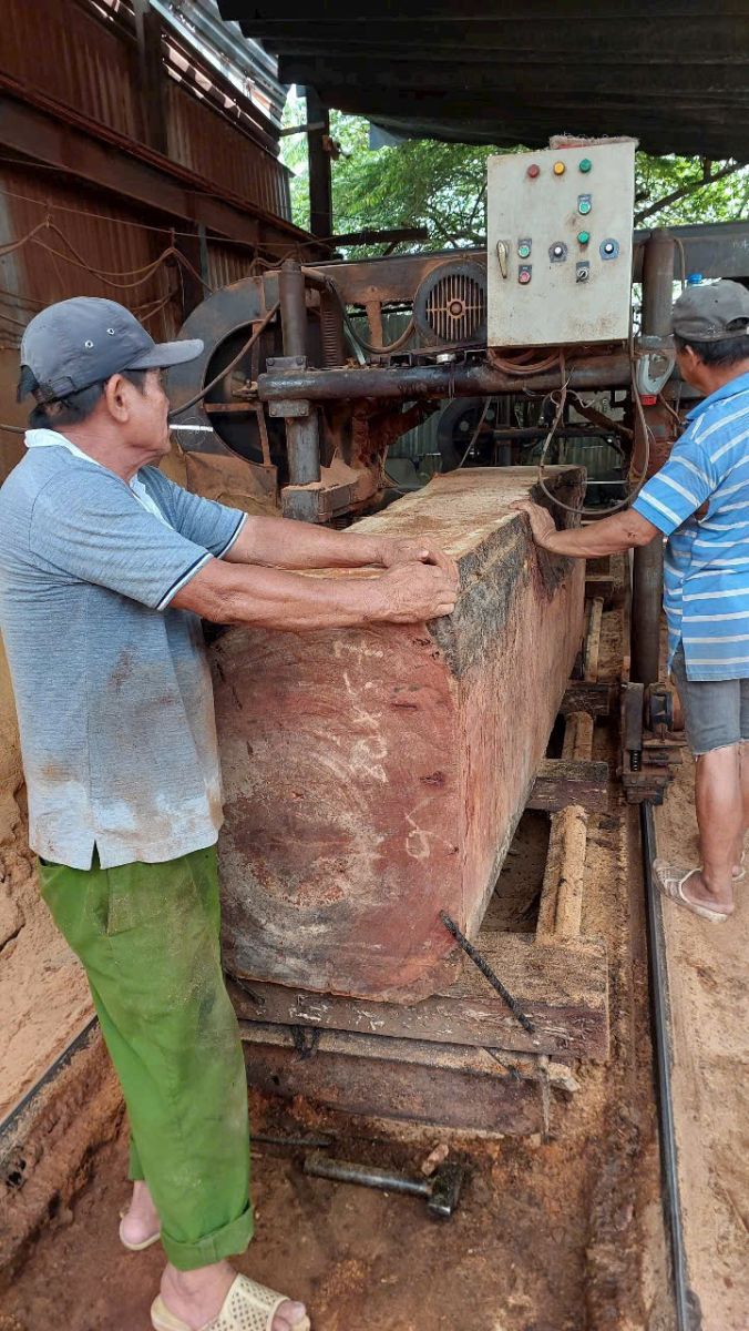 Nội thất gỗ tự nhiên