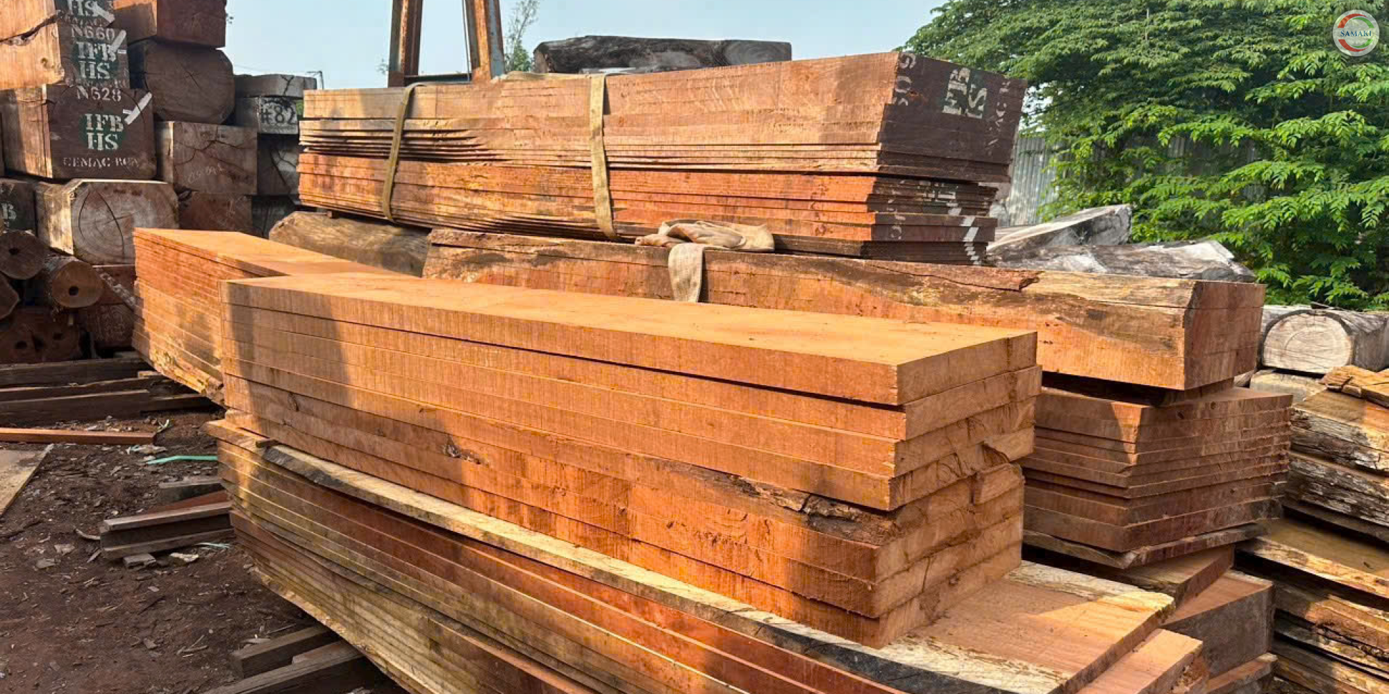 Gỗ xẻ là gì, các loại nội thất gỗ tự nhiên — Hướng dẫn chọn gỗ & thi công nội thất gỗ tự nhiên