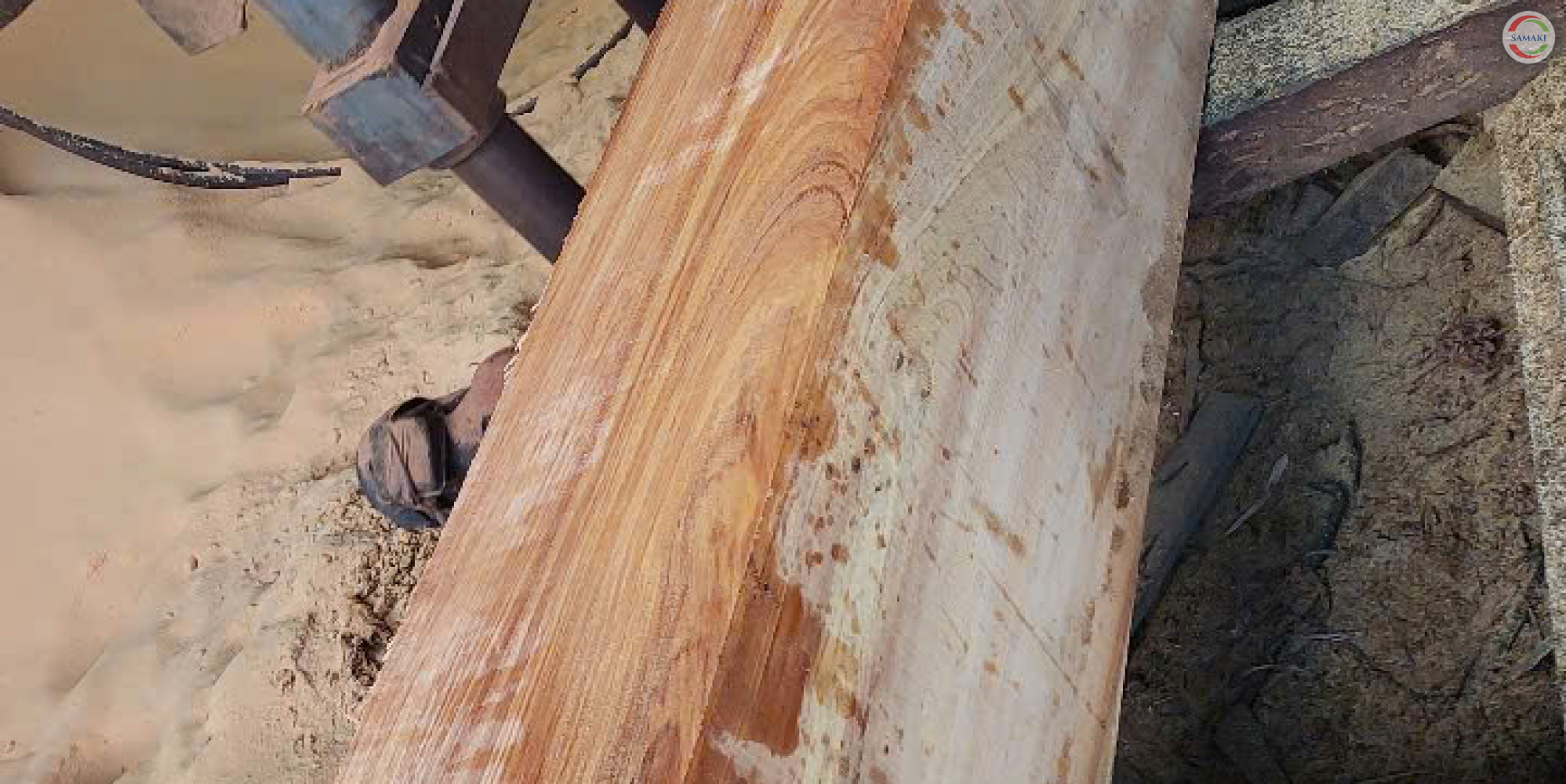 Gỗ xẻ là gì, các loại nội thất gỗ tự nhiên — Hướng dẫn chọn gỗ & thi công nội thất gỗ tự nhiên